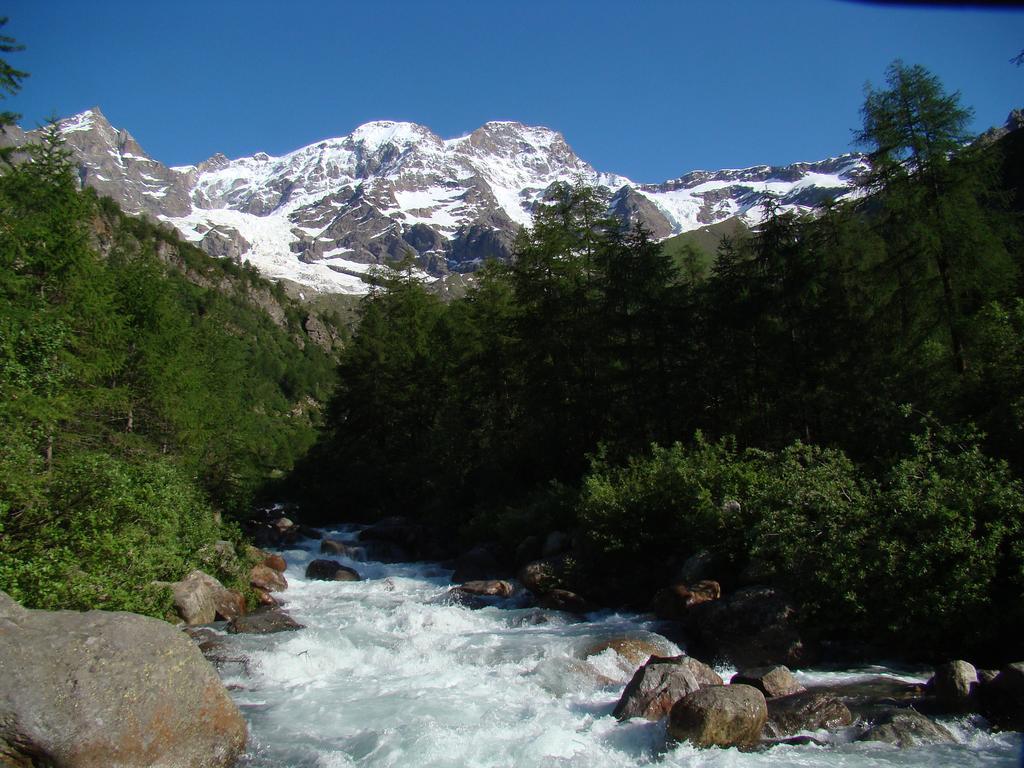 Tre Alberi Liberi Bed & Breakfast Alagna Valsesia Exterior photo