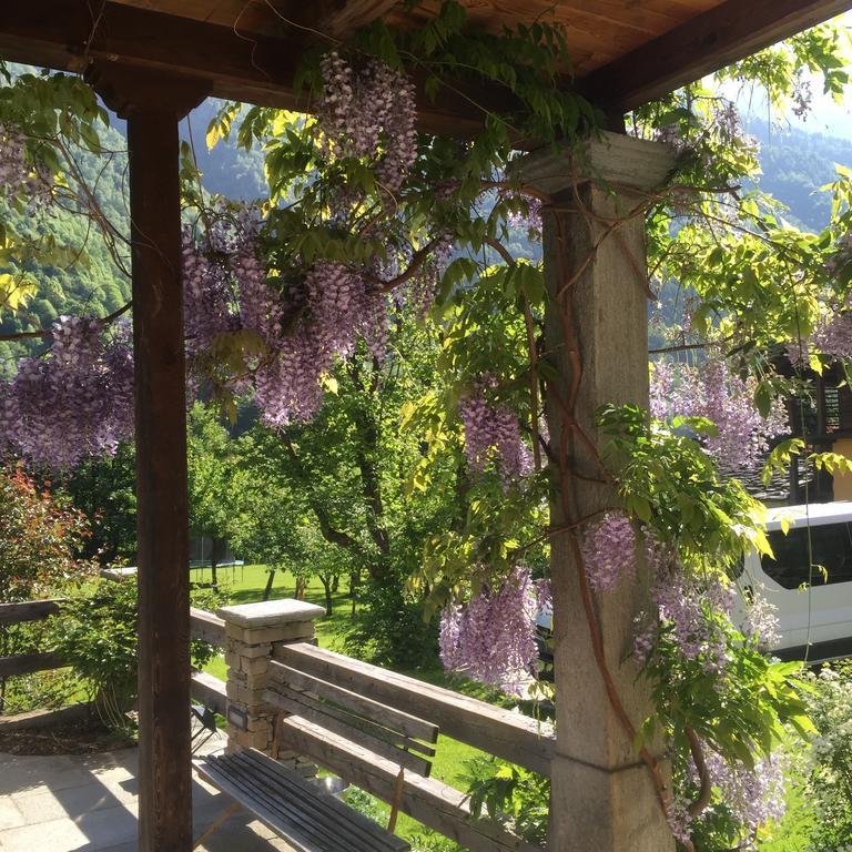 Tre Alberi Liberi Bed & Breakfast Alagna Valsesia Exterior photo