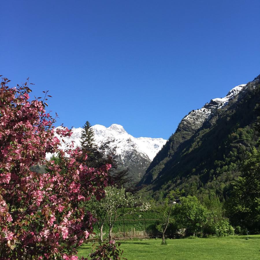 Tre Alberi Liberi Bed & Breakfast Alagna Valsesia Exterior photo